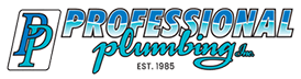 Professional Plumbing Logo