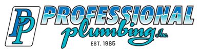 Professional Plumbing