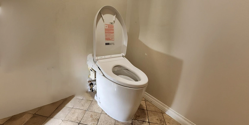 Clear Toilet Stoppage