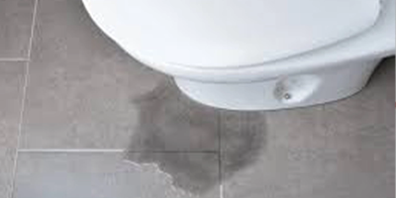 Reset a Toilet fountain valley