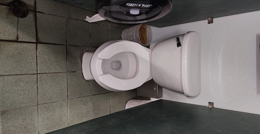 toilet-repair