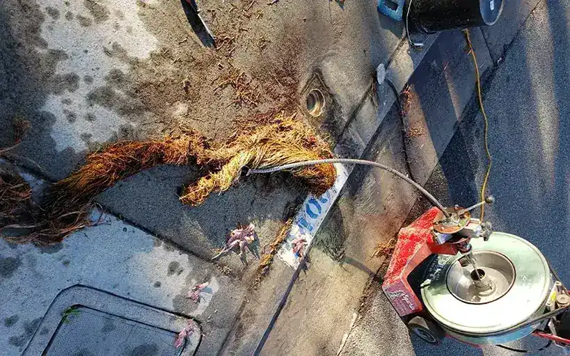 Commercial Drain Stoppage Costa Mesa