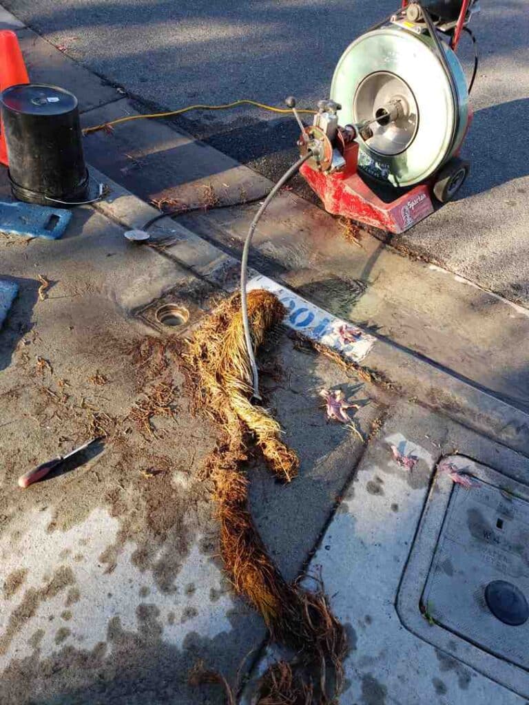 clogged main sewer line