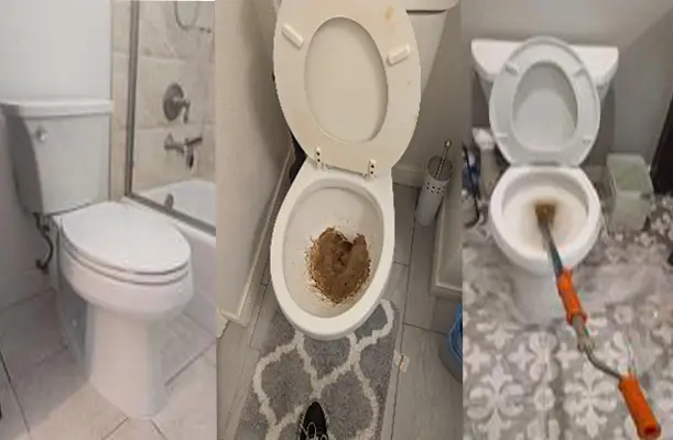 Clear Toilet Stoppage Huntington Beach