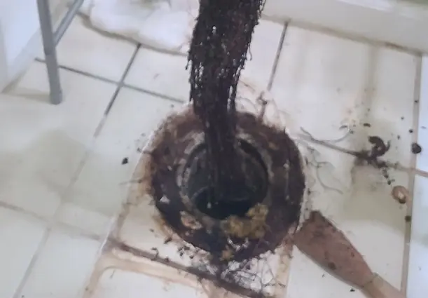 Floor Drain Stoppage Huntington Beach Floor Drain Stoppage Huntington Beach