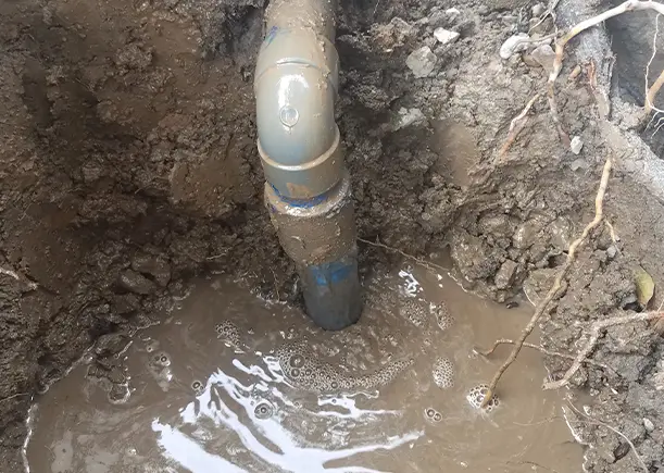 Newport Beach Plumbing Leak Detection Newport Beach Plumbing Leak Detection
