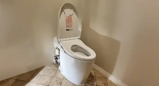 Clear Toilet Stoppage Fountain Valley