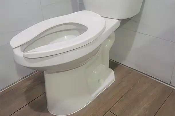 Clear Toilet Stoppage in Garden Grove