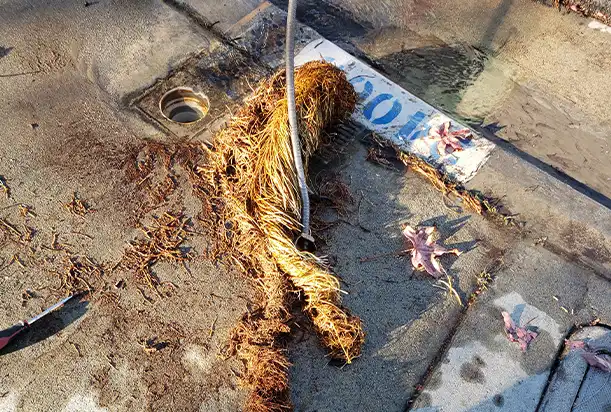 Emergency Commercial Drain Stoppage in a Costa Mesa Emergency Commercial Drain Stoppage in a Costa Mesa