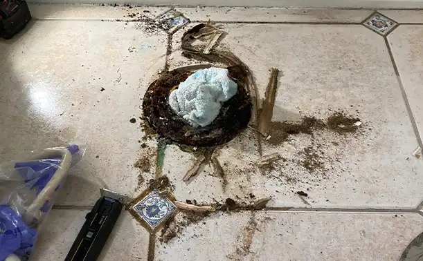 Floor Drain Stoppage in Garden Grove Floor Drain Stoppage in Garden Grove