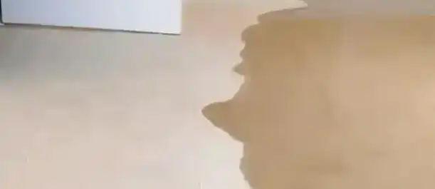 Fountain Valley - Slabs Leak Repairs