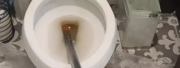 How We Clear a Toilet Stoppage in Garden Grove How We Clear a Toilet Stoppage in Garden Grove