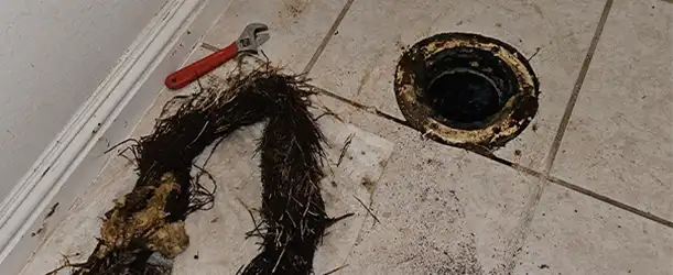 Need Clear Toilet Stoppage Fountain Valley Need Clear Toilet Stoppage Fountain Valley