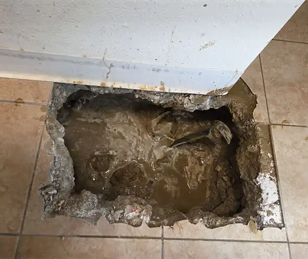 Professional Slab Leak Services in Costa Mesa Professional Slab Leak Services in Costa Mesa