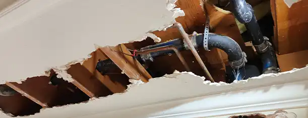 What Causes Drainage Problems in Garden Grove What Causes Drainage Problems in Garden Grove