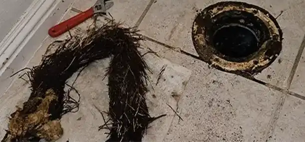 What Floor Drain Stoppage Means in Garden Grove What Floor Drain Stoppage Means in Garden Grove